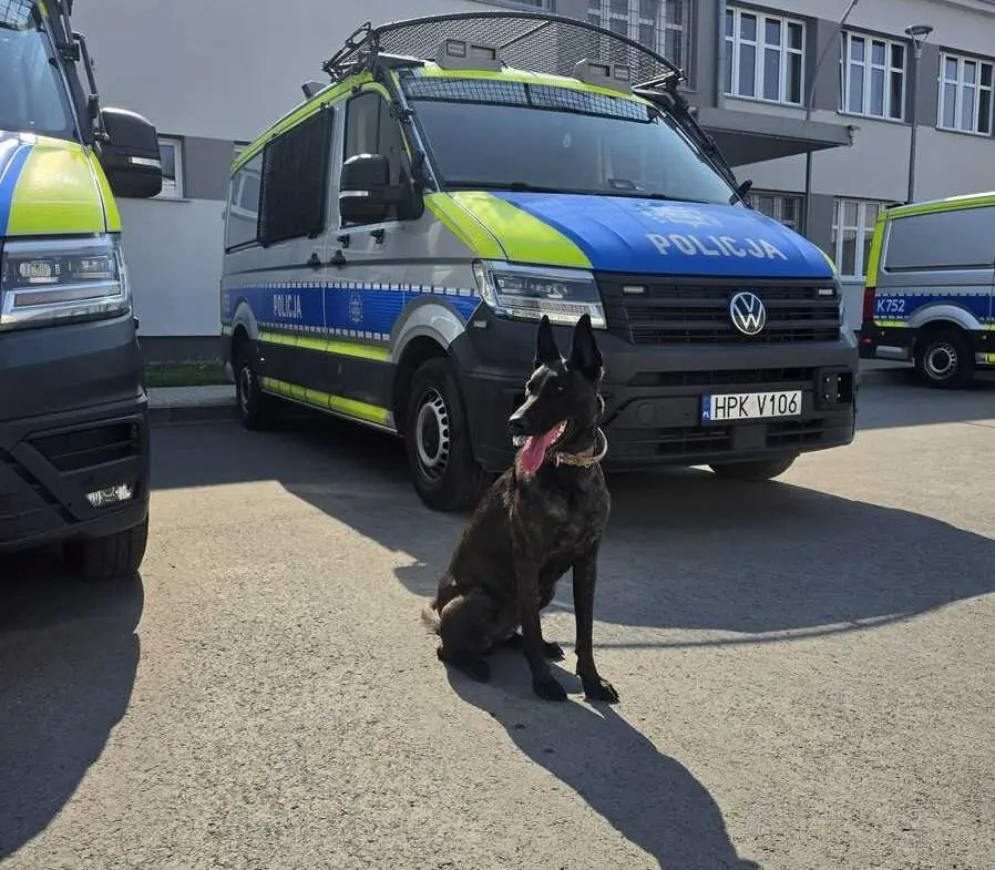 Międzynarodowy Dzień Psa – prezentacja psów służbowych Komendy Miejskiej Policji w Rzeszowie